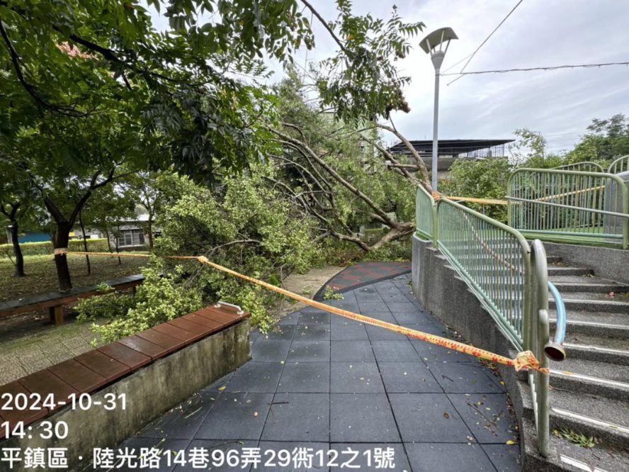 公園颱風災情處理