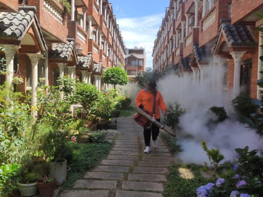全里病媒蚊噴藥消毒（113 年）